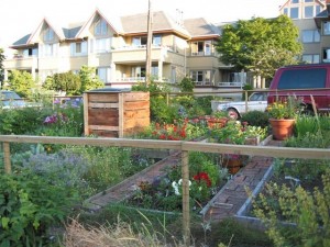 Vegetable plots and composter